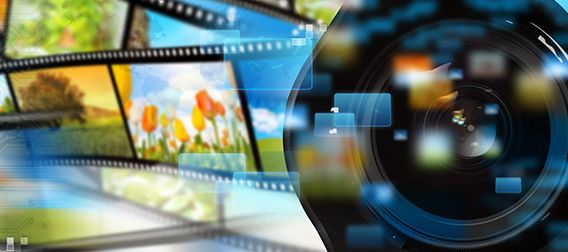 Video Gallery